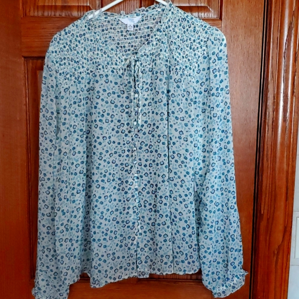 Blue Flowered Sheer Blouse